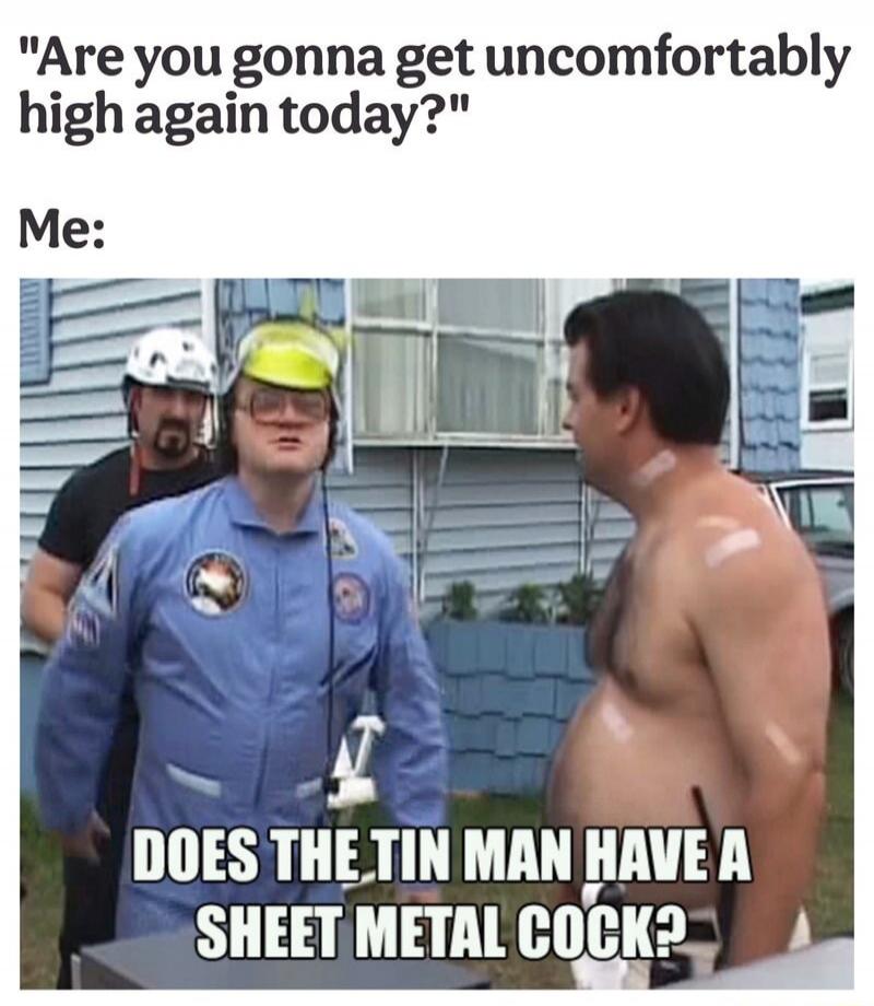 Are you gonna get uncomfortably high again today? Me: DOES THE TIN MAN HAVE A SHEET METAL COCK?
