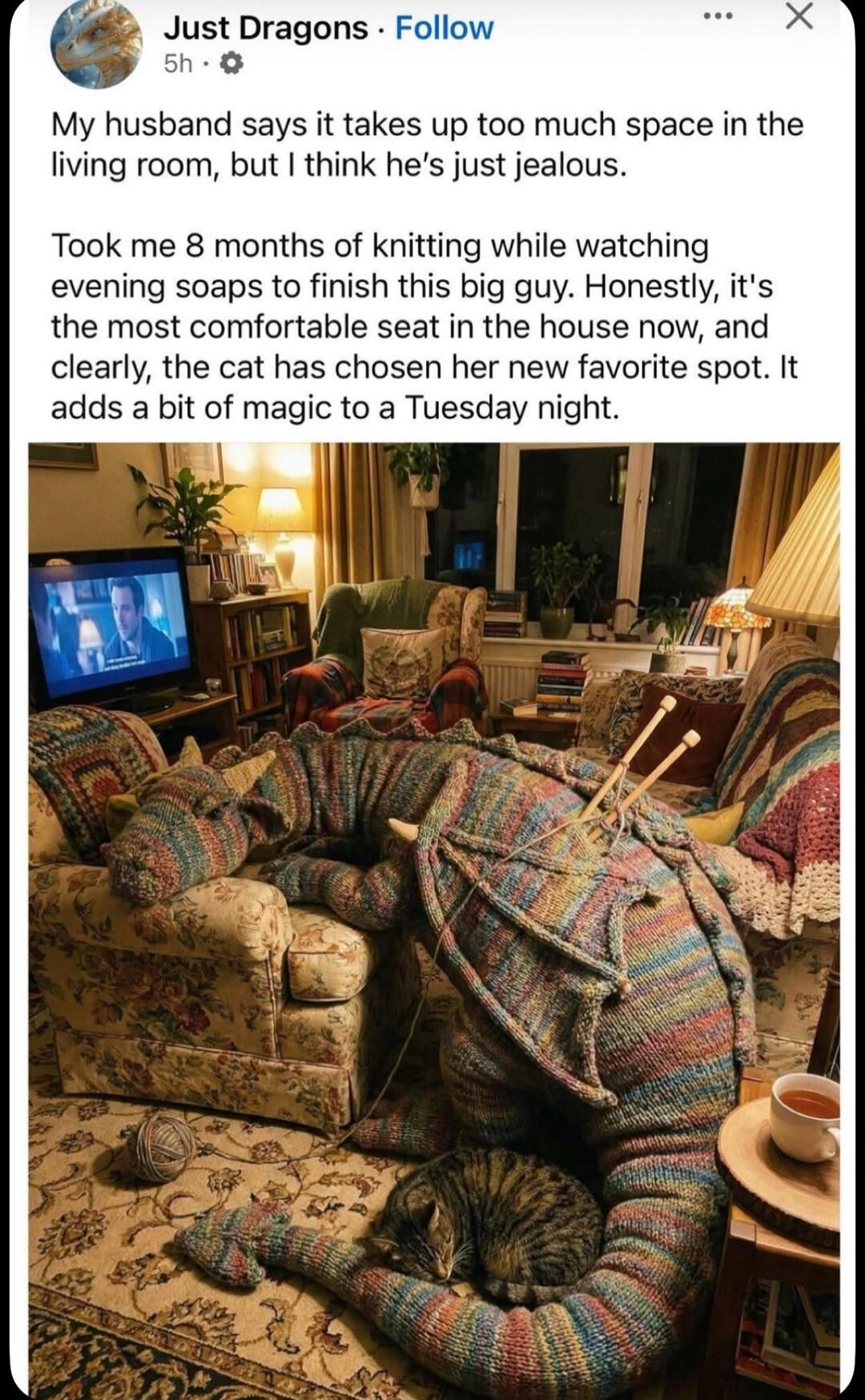 My husband says it takes up too much space in the living room, but I think he’s just jealous. Took me 8 months of knitting while watching evening soaps to finish this big guy. Honestly, it's the most comfortable seat in the house now, and clearly, the cat has chosen her new favorite spot. It adds a bit of magic to a Tuesday night.