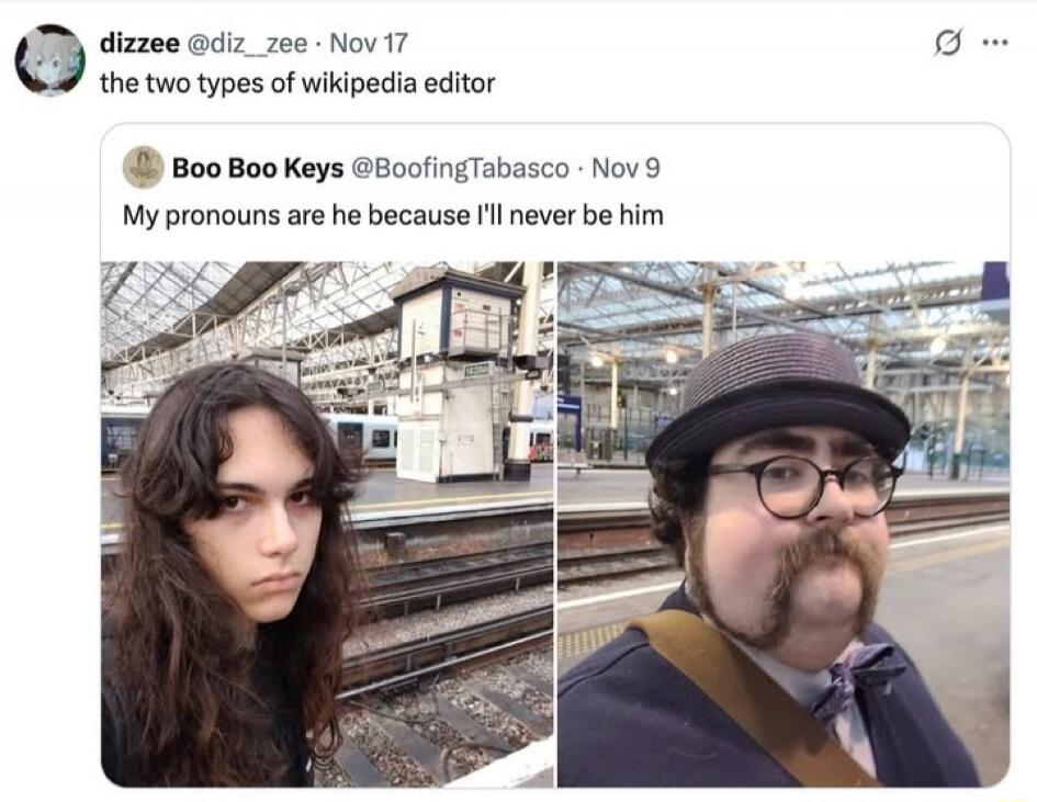 the two types of wikipedia editor
My pronouns are he because I'll never be him