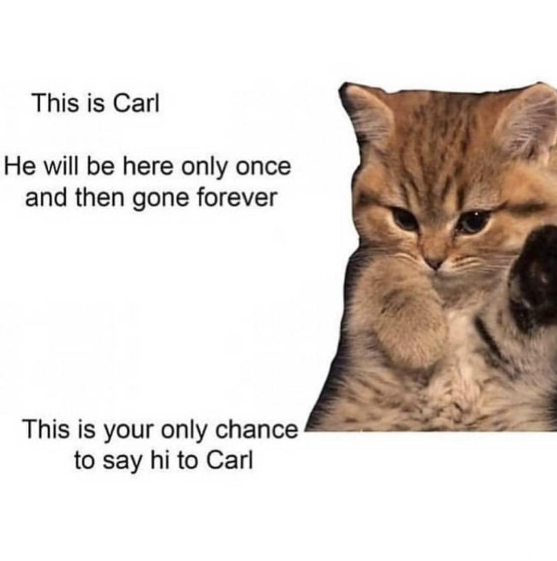This is Carl He will be here only once and then gone forever This is your only chance to say hi to Carl
