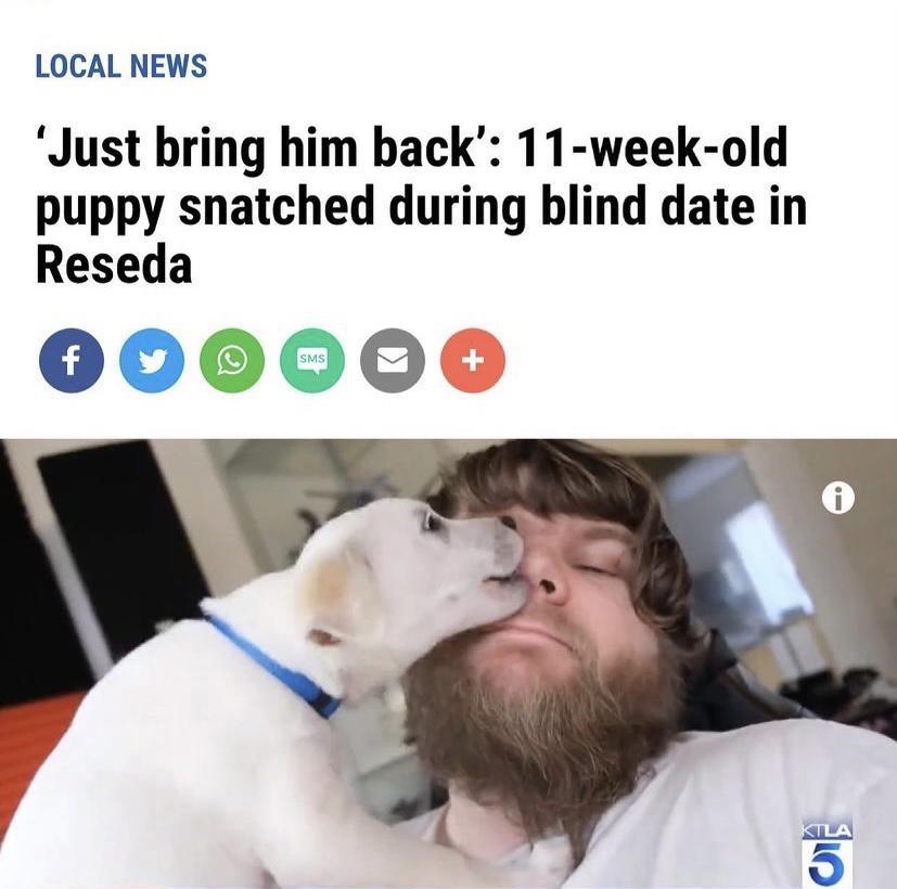 LOCAL NEWS Just bring him back 11 week old puppy snatched during blind date in Reseda