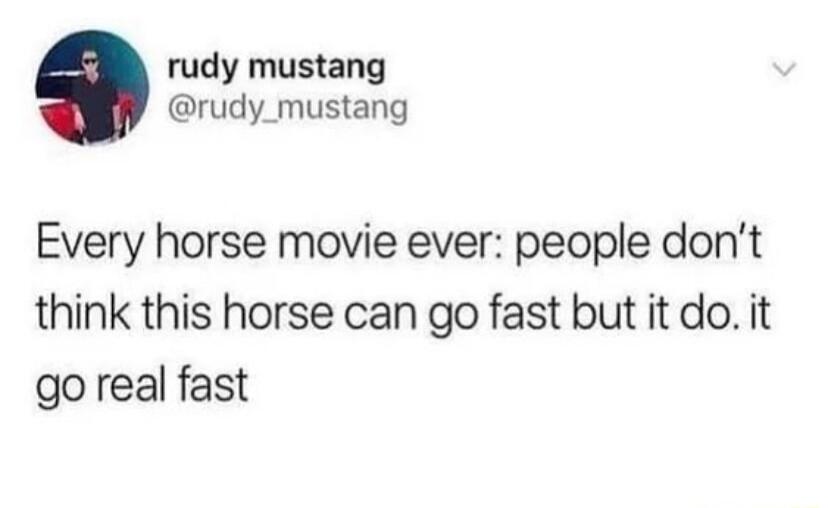 rudy mustang rudy_mustang Every horse movie ever people dont think this horse can go fast but it do it go real fast