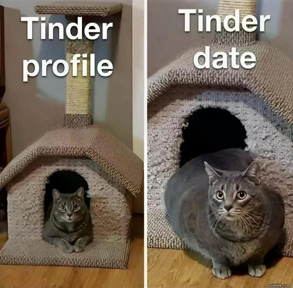 Tinder profile
Tinder date