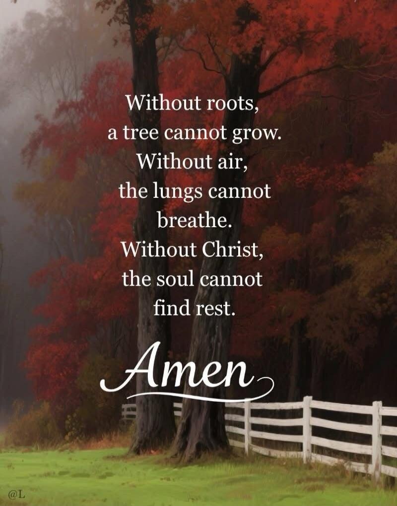 Without roots, a tree cannot grow. Without air, the lungs cannot breathe. Without Christ, the soul cannot find rest. Amen