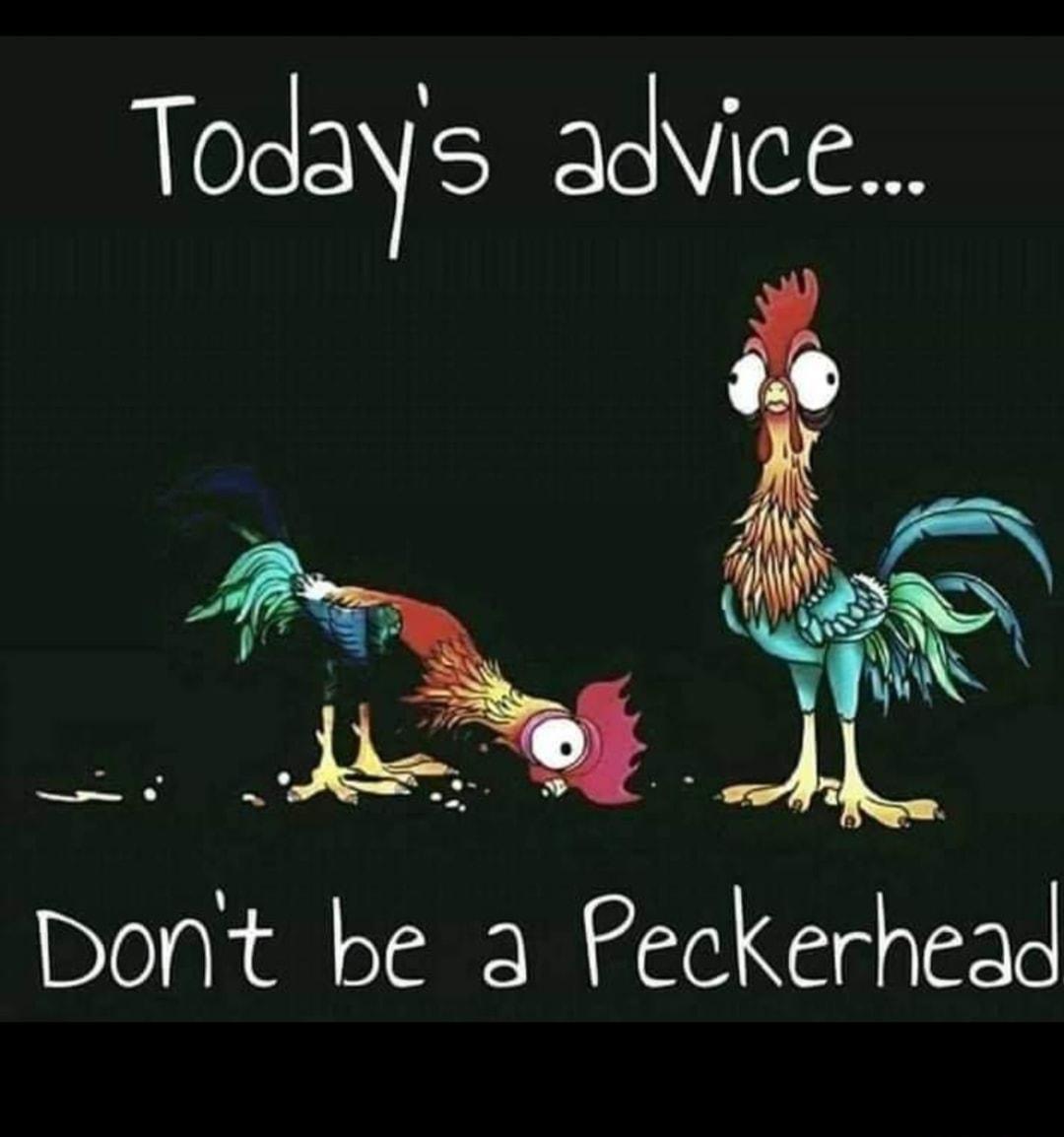 ToAays N Dont be a Peckerhead