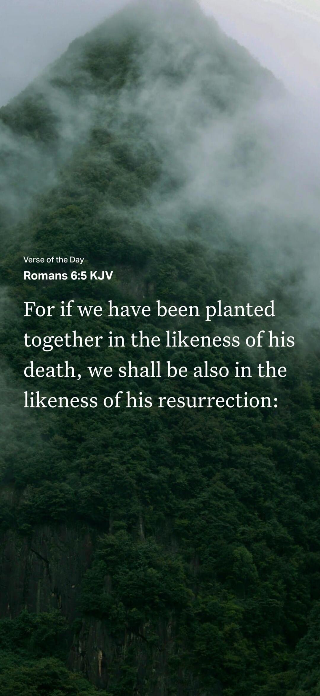 Verse of the Day Romans 6:5 KJV For if we have been planted together in the likeness of his death, we shall be also in the likeness of his resurrection: