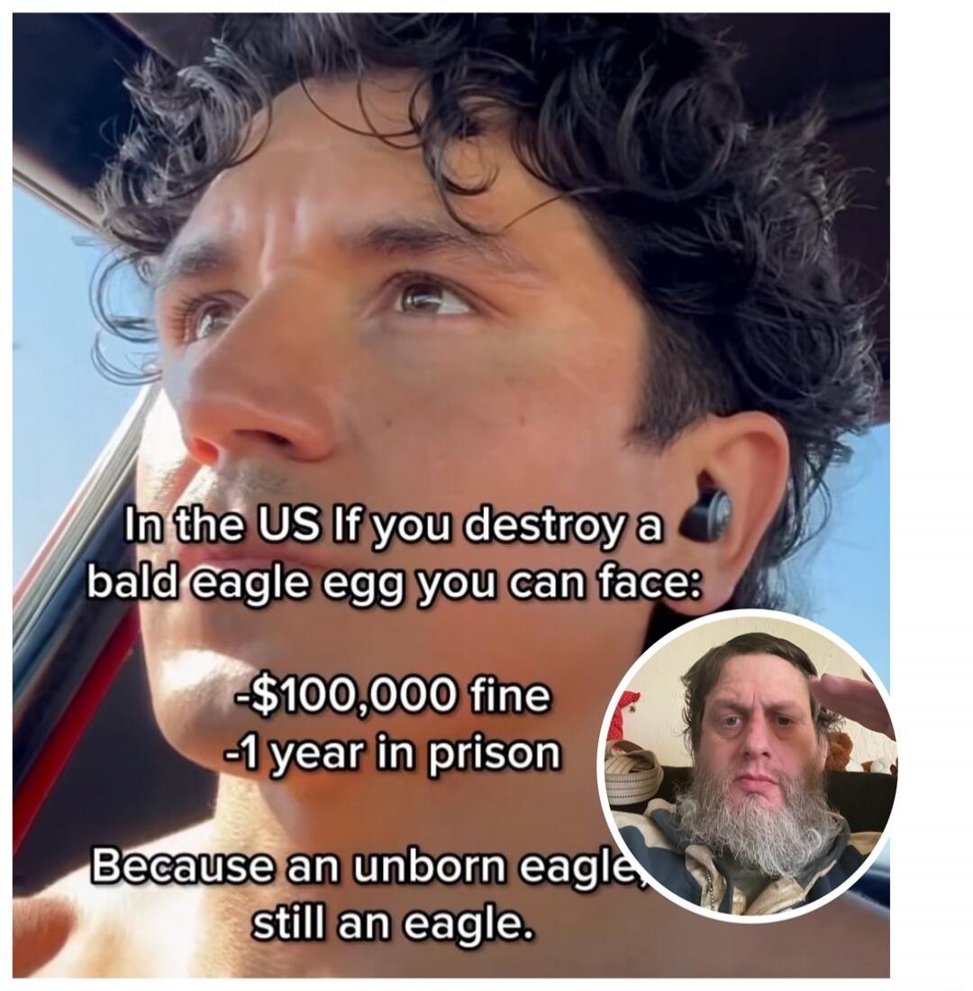In the US If you destroy a bald eagle egg you can face:
-$100,000 fine
-1 year in prison
Because an unborn eagle still an eagle.