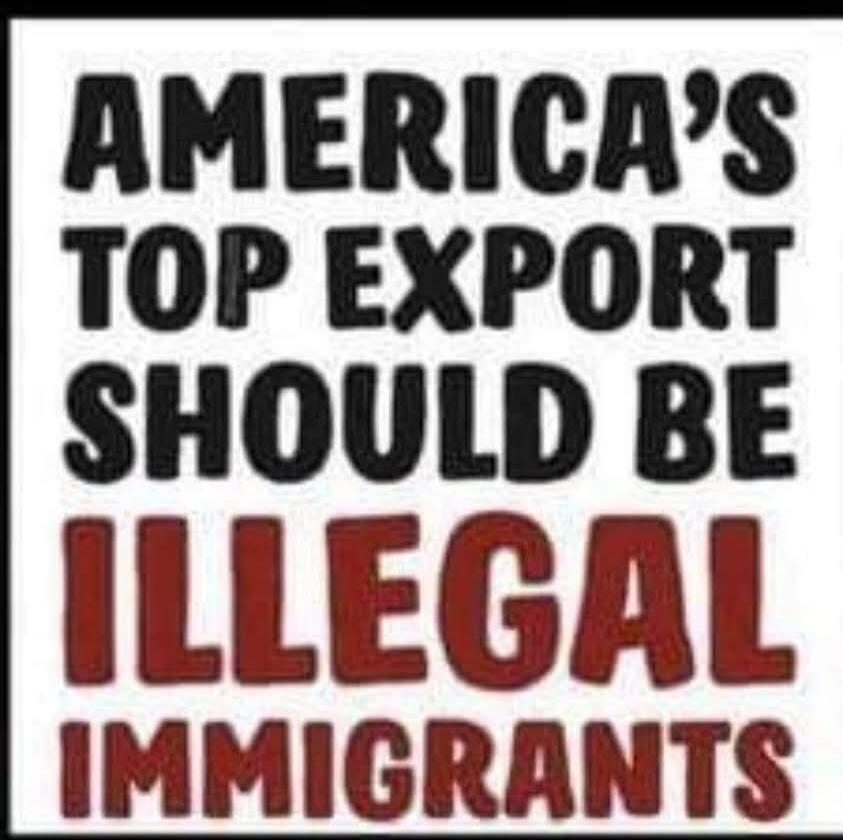 AMERICA'S TOP EXPORT SHOULD BE ILLEGAL IMMIGRANTS