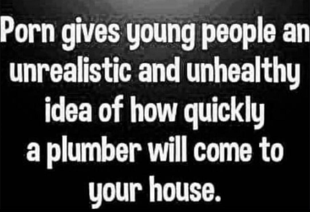 Porn gives young people an unrealistic and unhealthy idea of how quickly a plumber will come to your house.