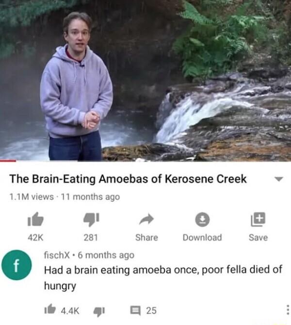 The Brain Eating Amoebas of Kerosene Creek b 11Mviews 11 m 1 o o 42k 28 Share Download Save fischX 6 months ago o Had a brain eating amoeba once poor fella died of hungry Wik g B2