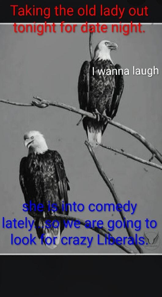 Taking the old lady out tonight for date night. I wanna laugh. She is into comedy lately so we are going to look for crazy Liberals.