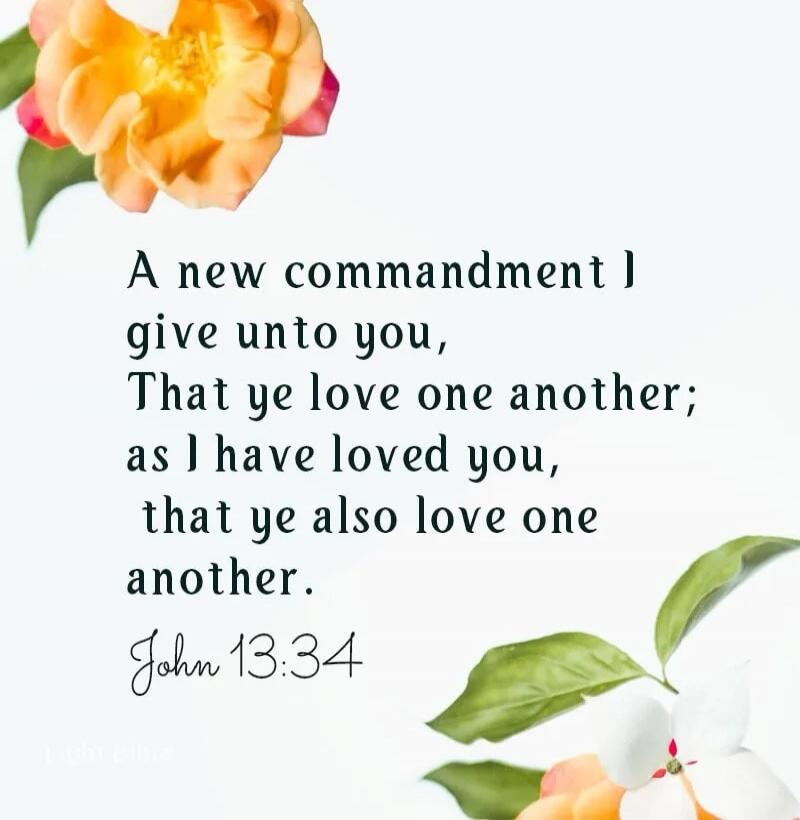 A new commandment I give unto you, That ye love one another; as I have loved you, that ye also love one another. John 13:34