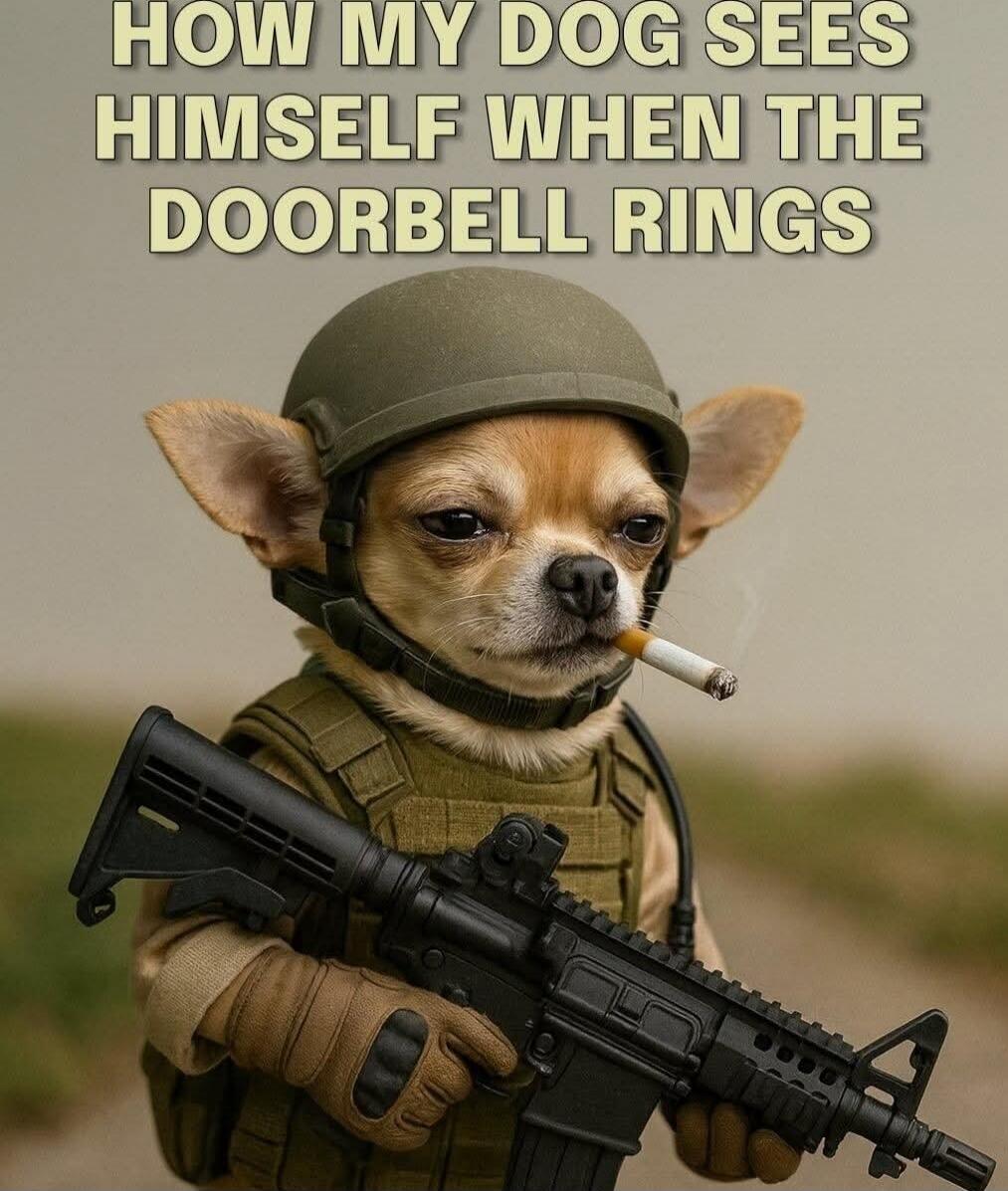 HOW MY DOG SEES HIMSELF WHEN THE DOORBELL RINGS