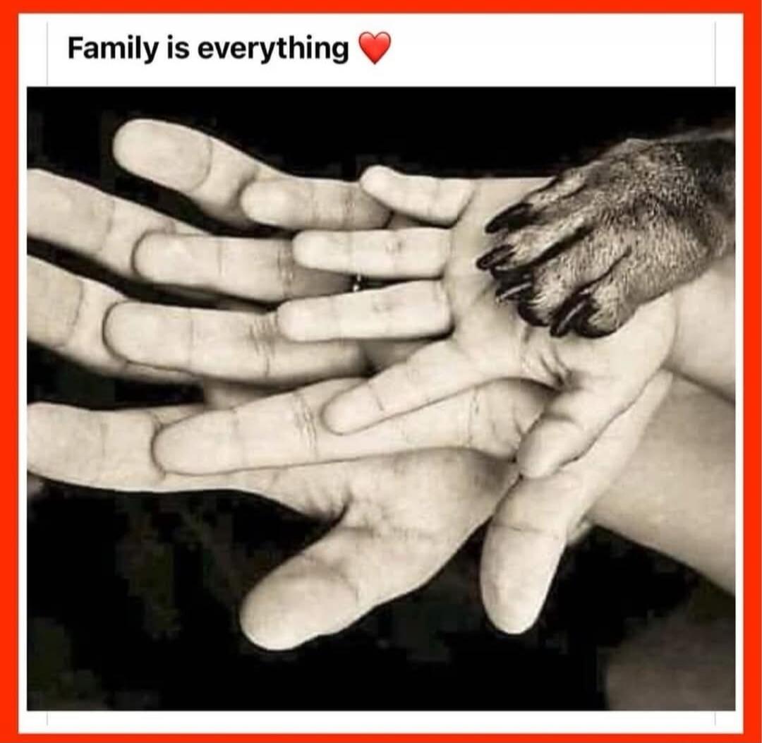 Family is everything ❤️
