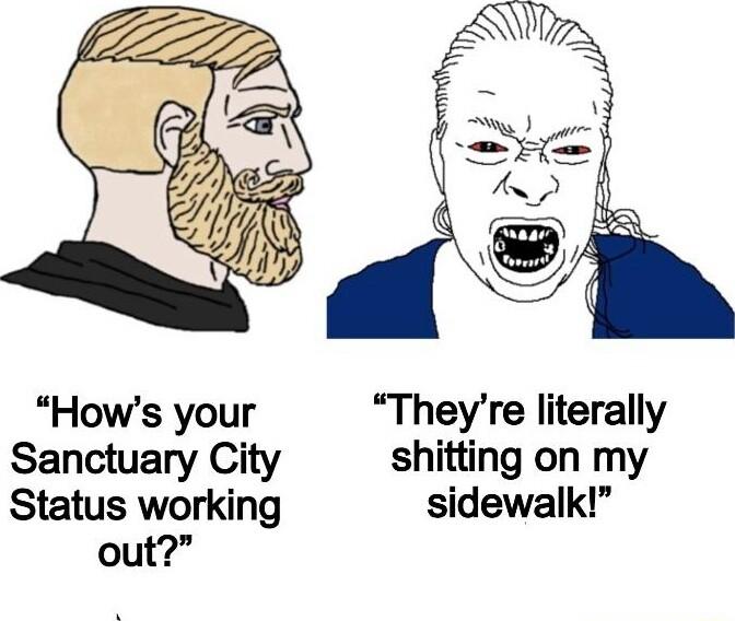 Hows your Theyre literally Sanctuary City shitting on my Status working sidewalk out