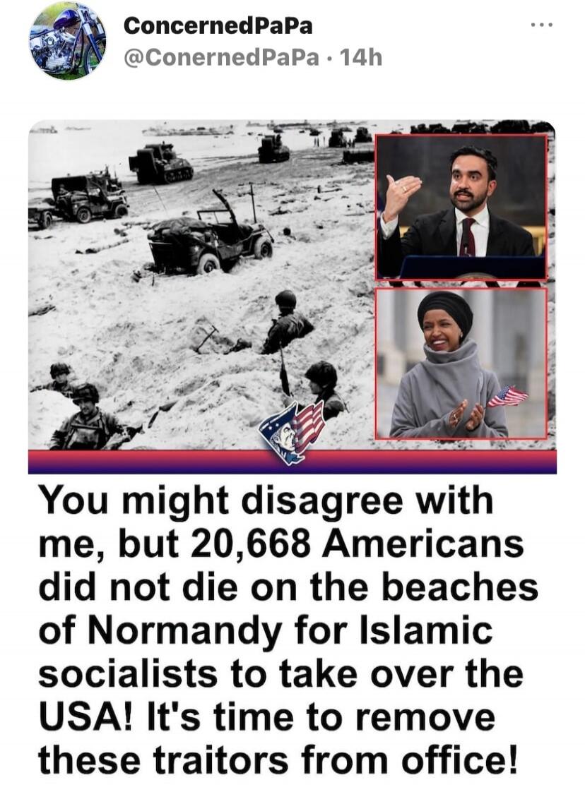 ConcernedPaPa @ConernedPapa · 14h You might disagree with me, but 20,668 Americans did not die on the beaches of Normandy for Islamic socialists to take over the USA! It's time to remove these traitors from office!