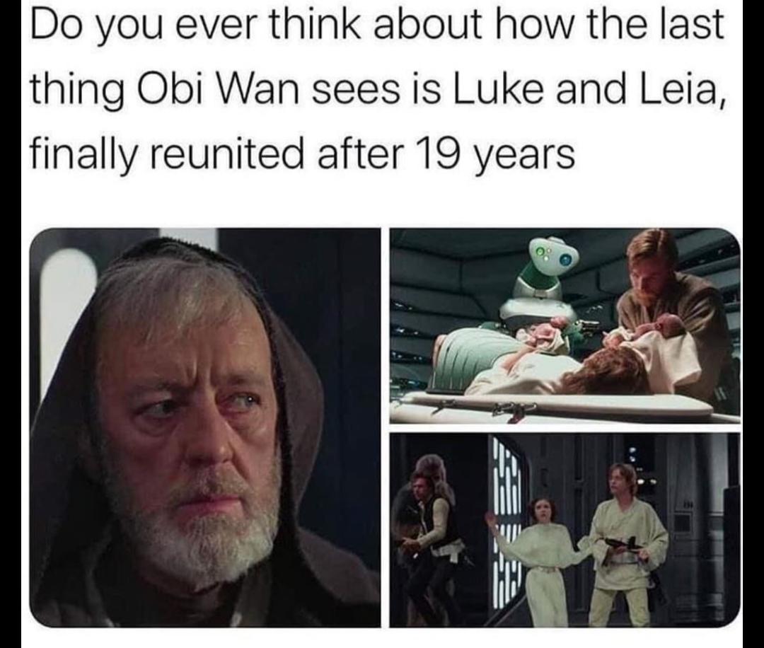 Do you ever think about how the last thing Obi Wan sees is Luke and Leia finally reunited after 19 years