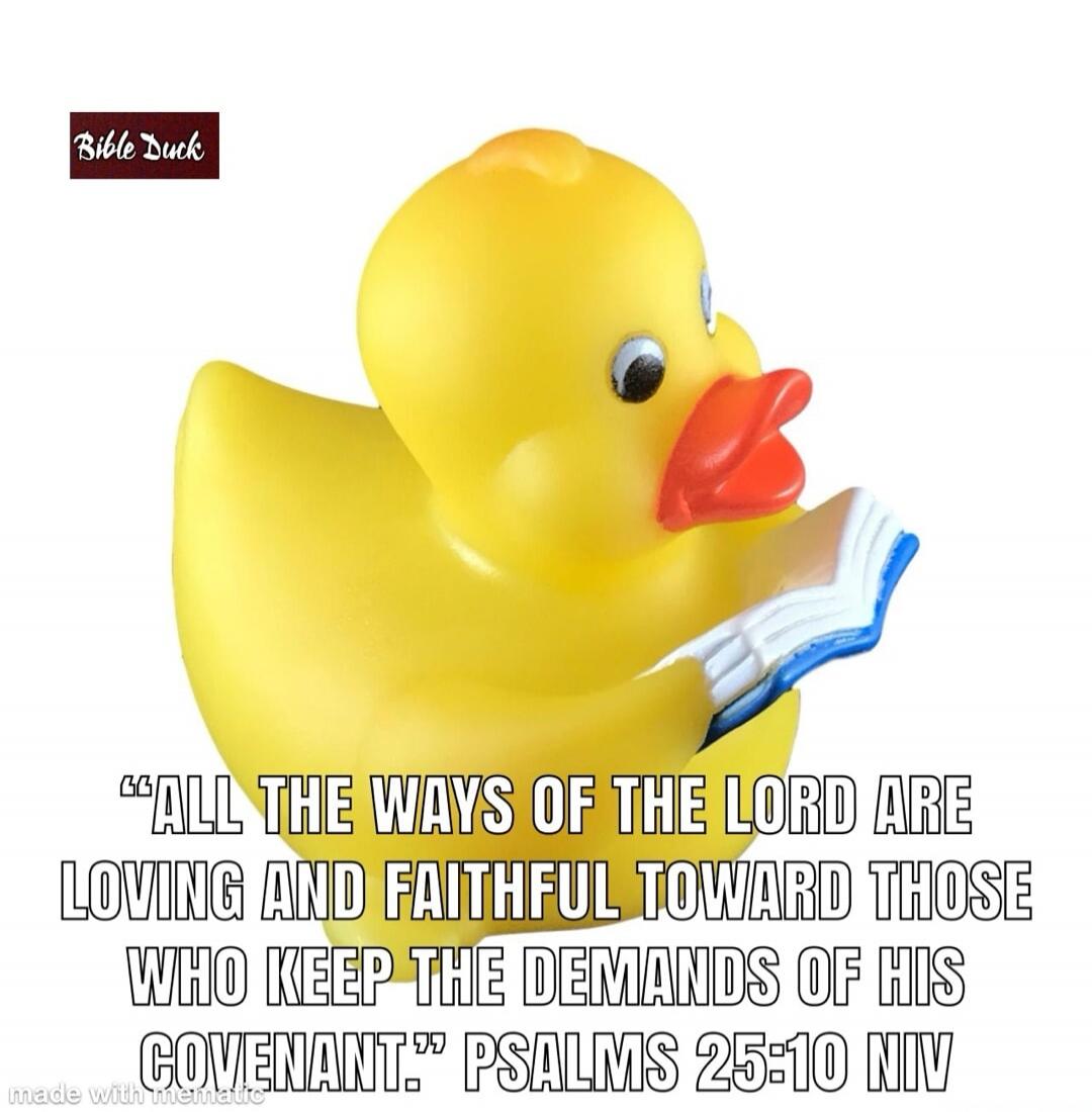 Bible Duck. 