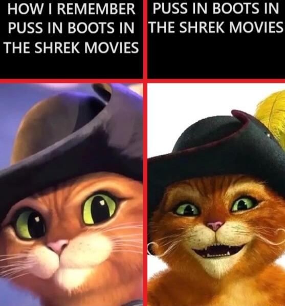 HOW REMEMBER PUSS IN BOOTS IN PUSS IN BOOTS IN THE SHREK MOVIES THE SHREK MOVIES s