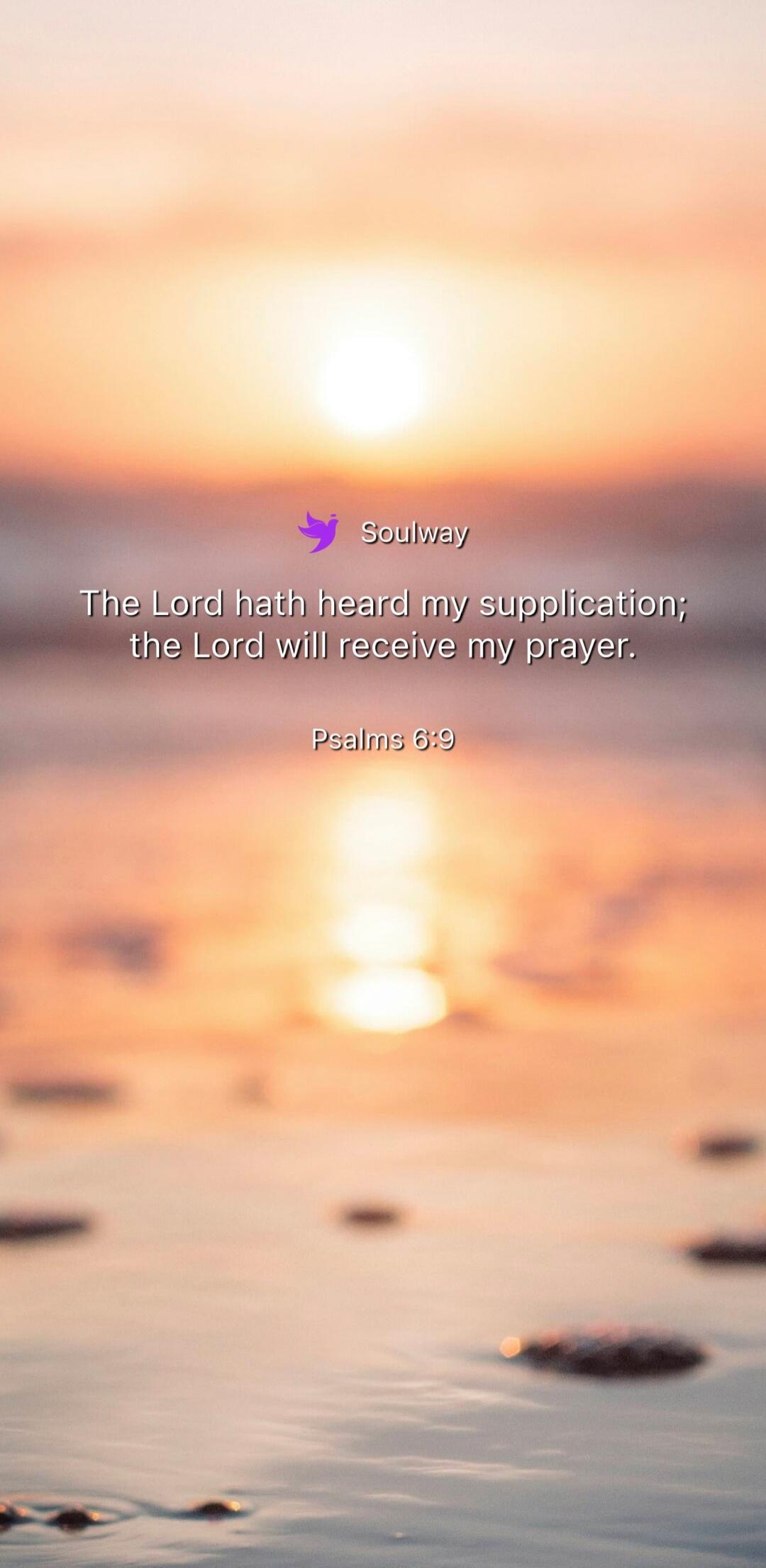 Soulway
The Lord hath heard my supplication; the Lord will receive my prayer.
Psalms 6:9