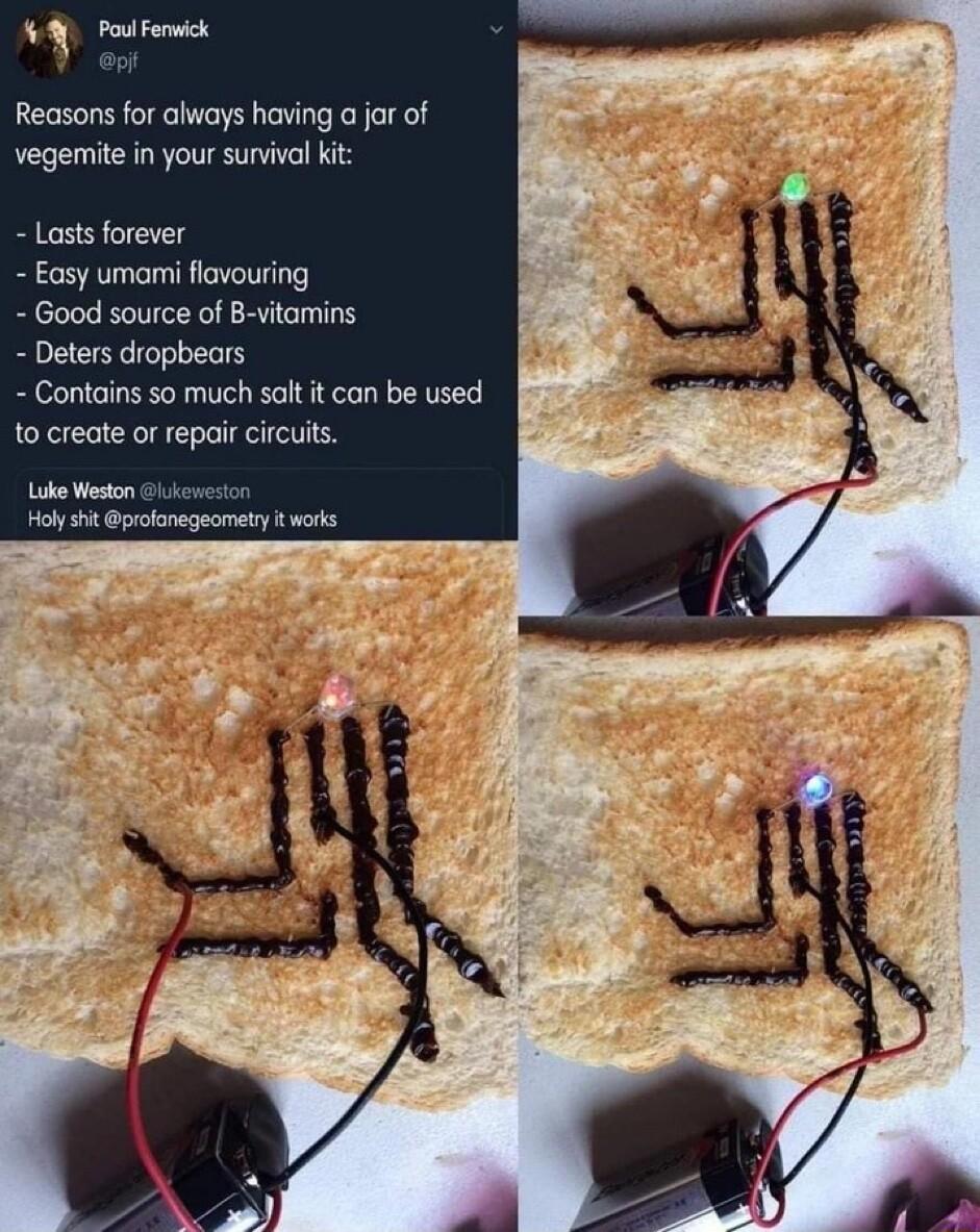 2 Reasons for always having a jor of vegemite in your sunvival kit Lasts forever Easy umanmi flavouring Good source of B vitamins Deters dropbears Contains so much saltt can be used 1o create o repair circits Lke Weston ol it