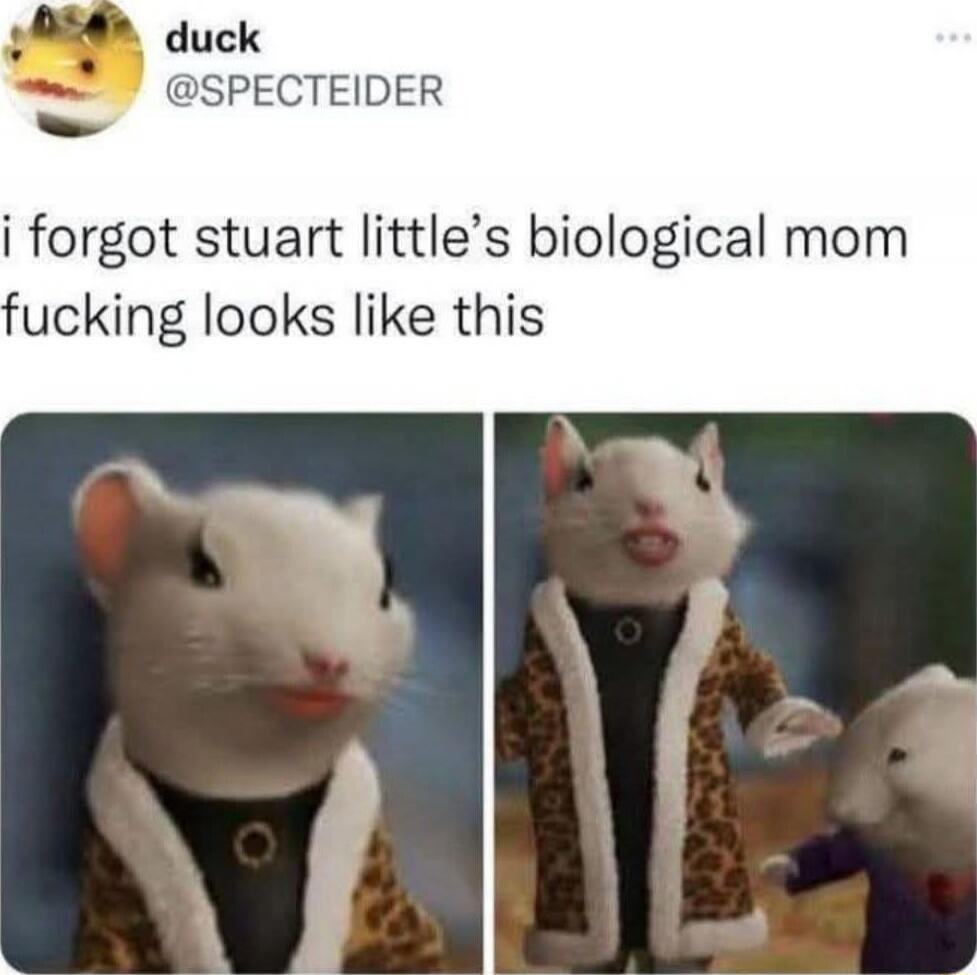 i forgot stuart little's biological mom fucking looks like this