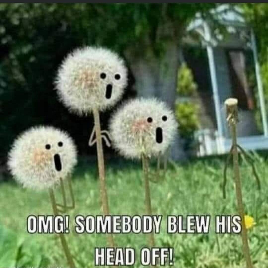 OMG! SOMEBODY BLEW HIS HEAD OFF!