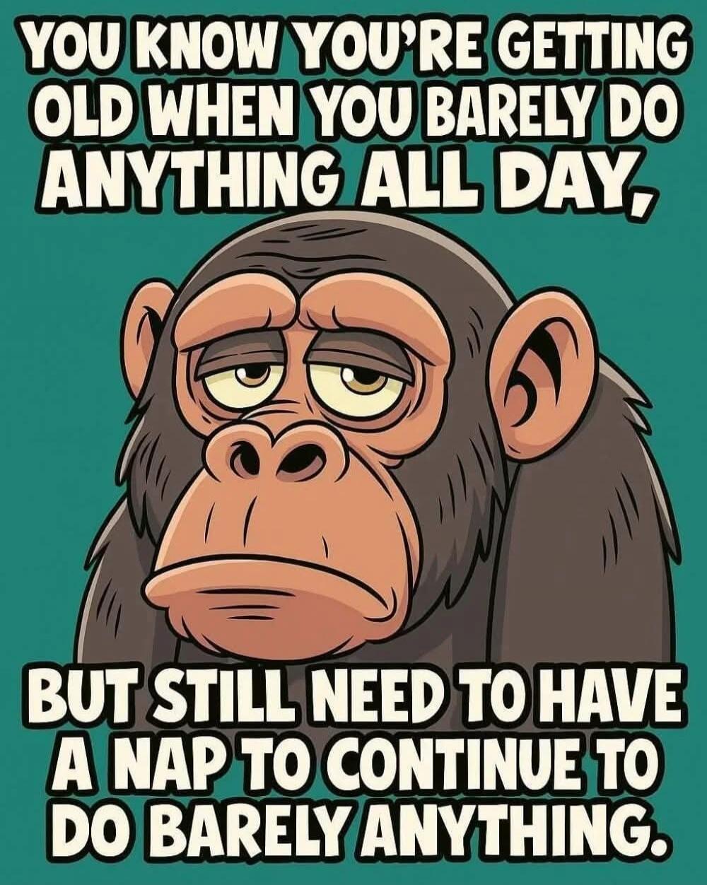YOU KNOW YOU'RE GETTING OLD WHEN YOU BARELY DO ANYTHING ALL DAY, BUT STILL NEED TO HAVE A NAP TO CONTINUE TO DO BARELY ANYTHING.