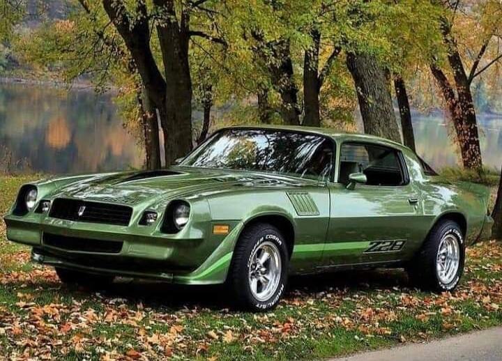 Z28, COBRA RADIAL G/T