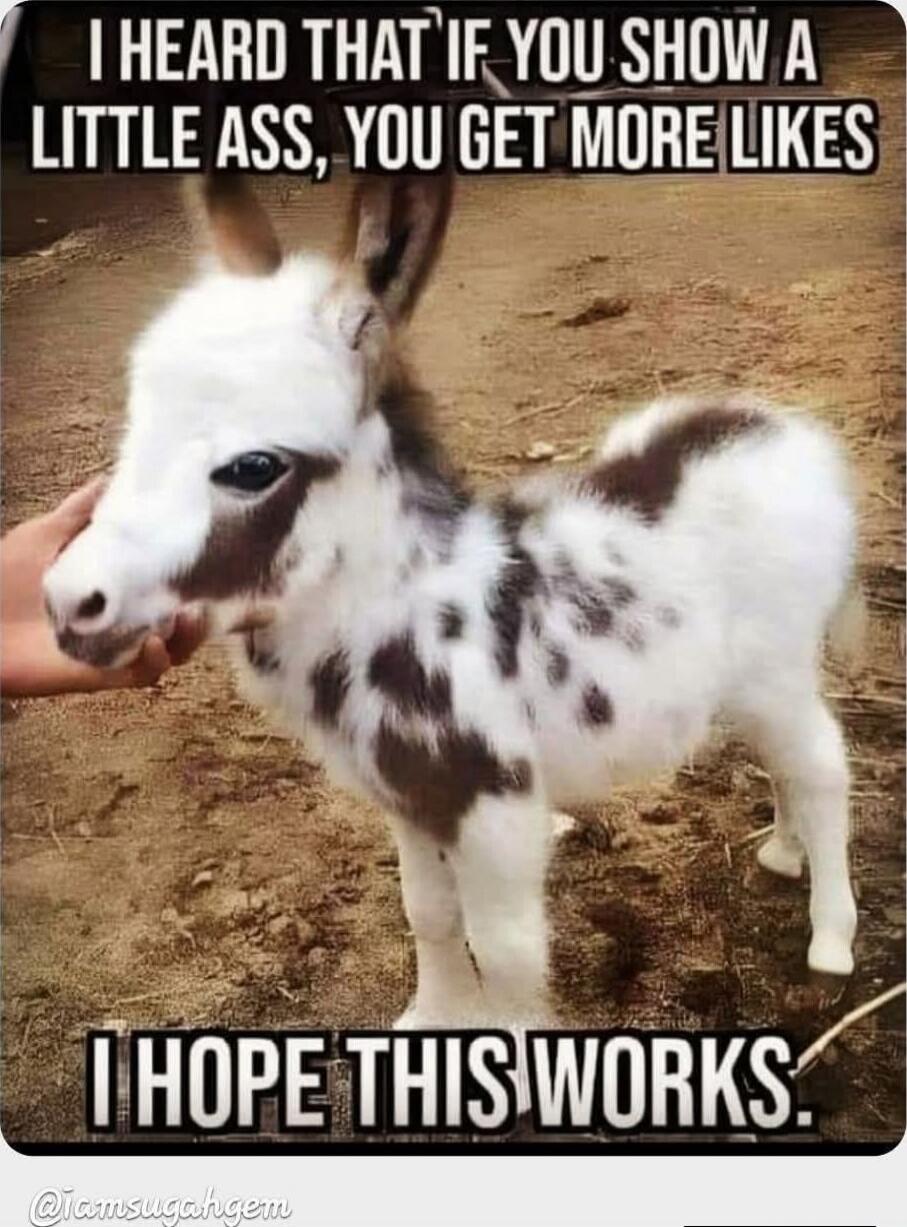 I HEARD THAT IF YOU SHOW A LITTLE ASS, YOU GET MORE LIKES I HOPE THIS WORKS.