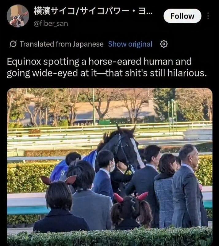 Equinox spotting a horse-eared human and going wide-eyed at it—that shit's still hilarious.