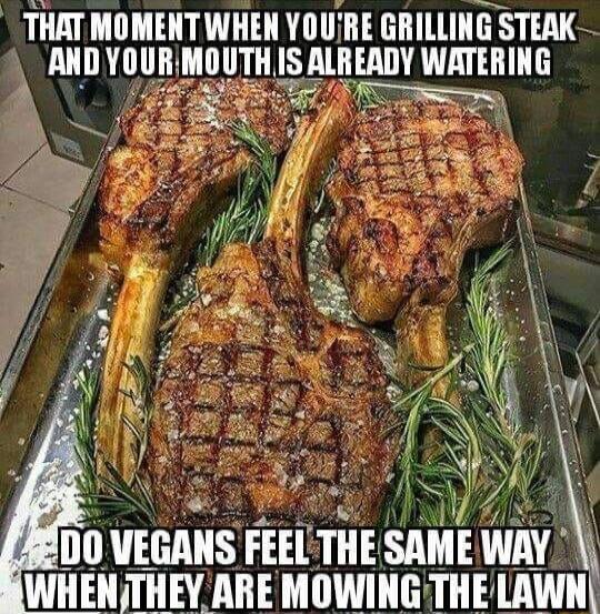 THAT MOMENTWHEN YOUIRE GRILLING STEAK ANDYOUR ADY WATERING Do VEGANS FEEL THE SAME WAY U R A AT T TR T lAWI