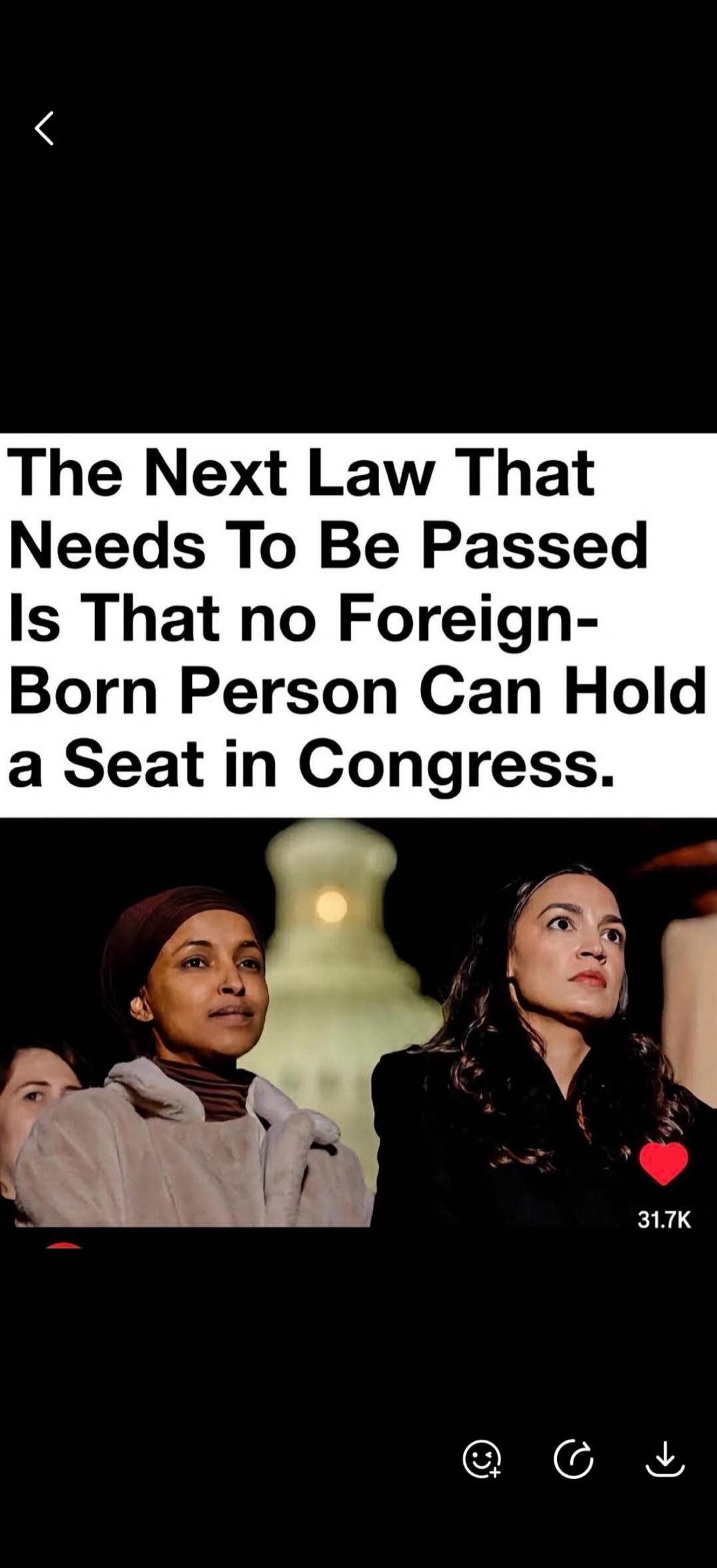 The Next Law That Needs To Be Passed Is That no Foreign-Born Person Can Hold a Seat in Congress.