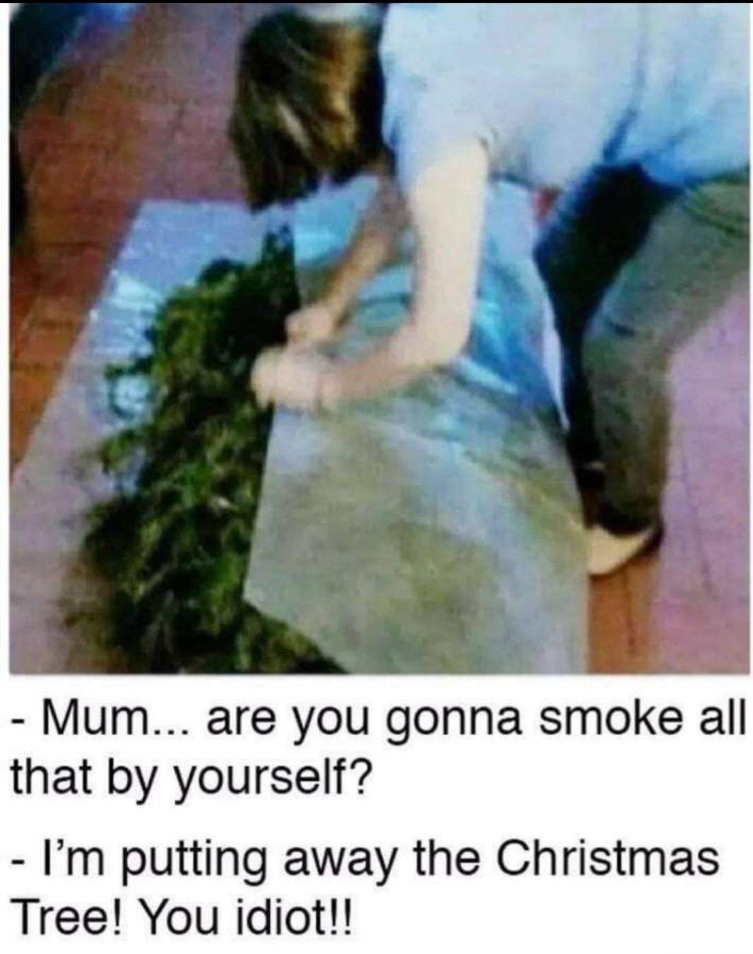 Mum are you gonna smoke all that by yourself Im putting away the Christmas Tree You idiot