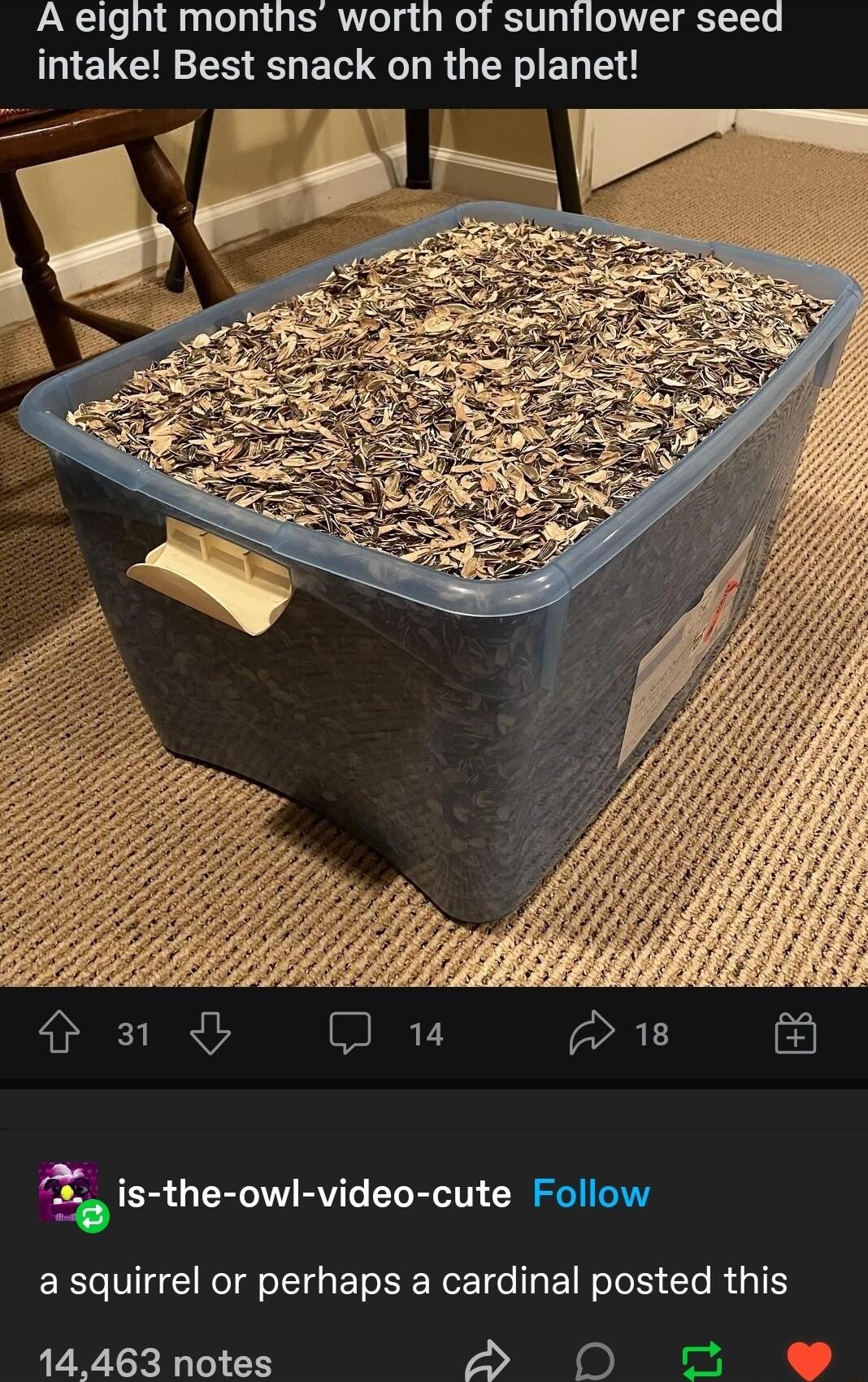 A eight months worth ot suntlower seed NEUCH NS EF R G R EL T 14463 notes 0