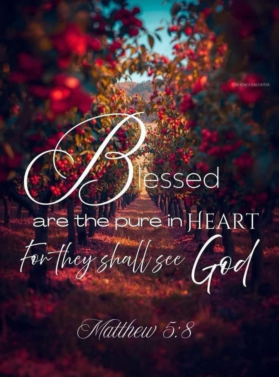 Blessed are the pure in HEART for they shall see God Matthew 5:8