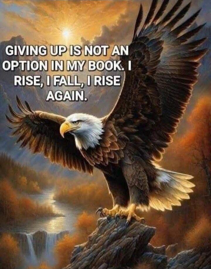 GIVING UP IS NOT AN OPTION IN MY BOOK. I RISE, I FALL, I RISE AGAIN.