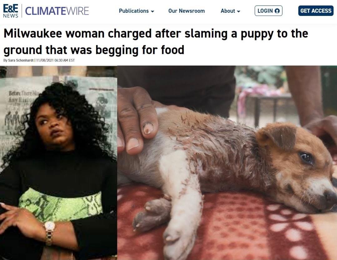 E8E CLIMATE Pubic mn dboas BGNO Milwaukee woman charged after slaming a puppy to the ground that was begging for food