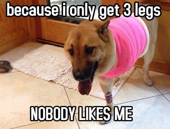 because ibnly1get3 legs t