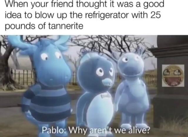 When your friena thought it was a good idea to blow up the refrigerator with 25 pounds of tannerite A Pabloy Why SIels wasive