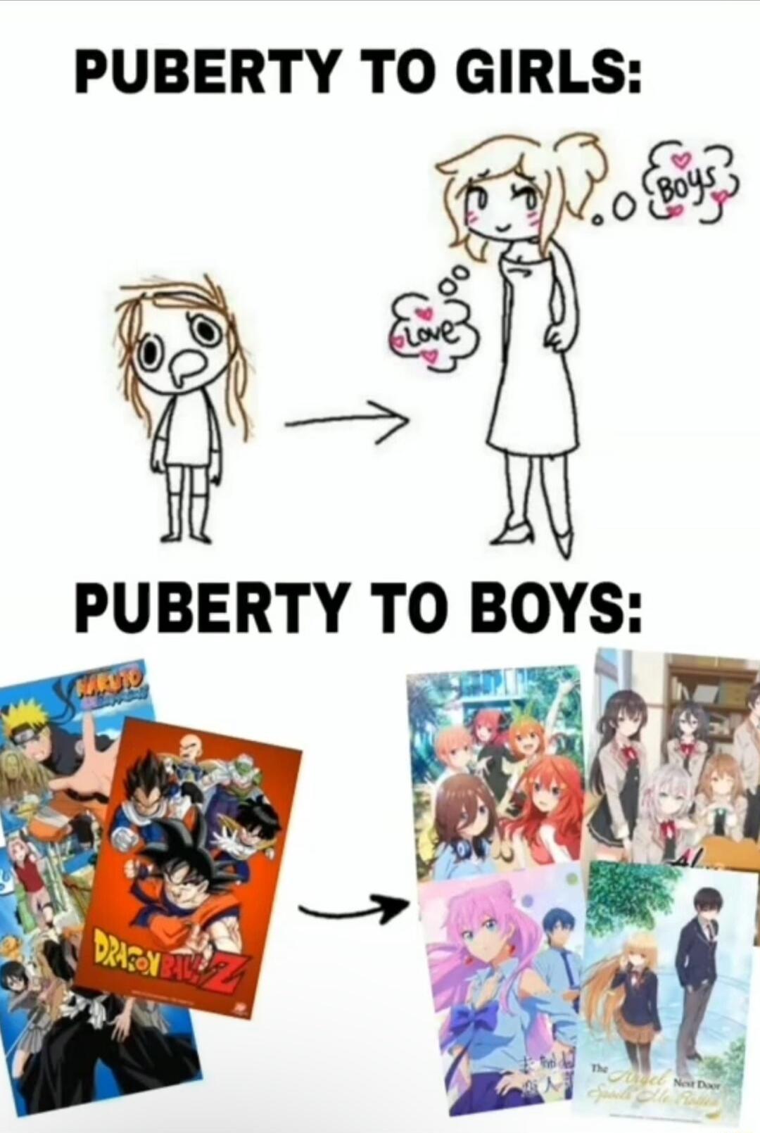 PUBERTY TO GIRLS PUBERTY TO BOYS