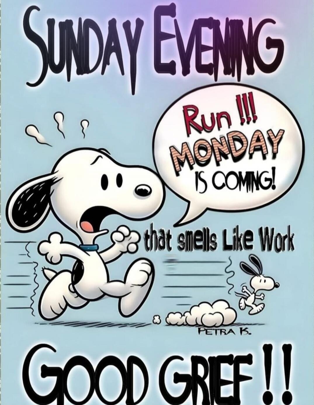 SUNDAY EVENING Run !!! MONDAY IS COMING! that smells Like Work GOOD GRIEF !!