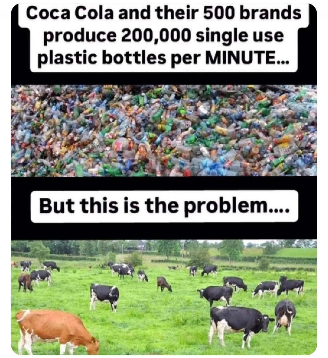 Coca Cola and their 500 brands produce 200,000 single use plastic bottles per MINUTE... But this is the problem....
