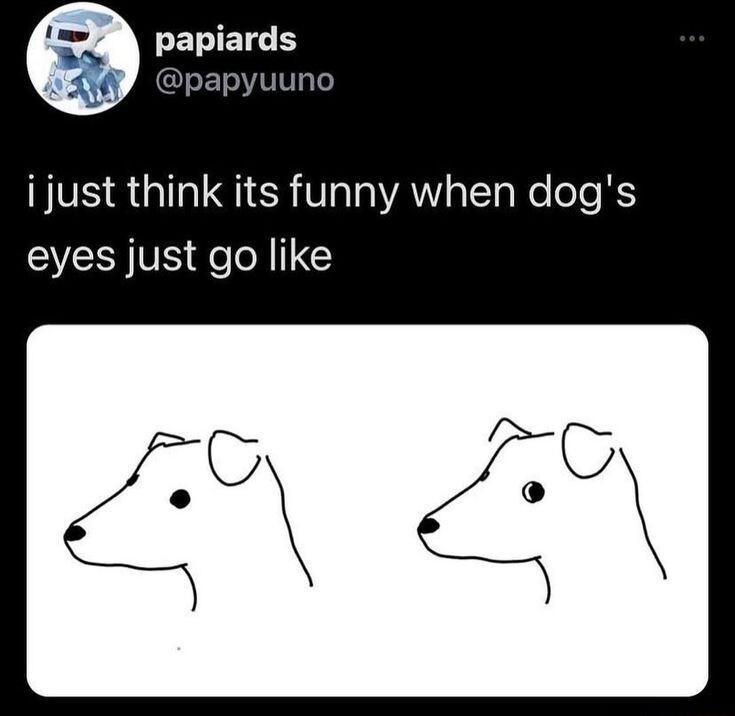 e ETIETC i just think its funny when dogs eyes just go like
