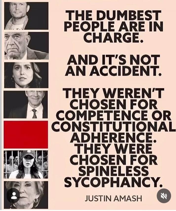 THE DUMBEST PEOPLE ARE IN CHARGE.
AND IT'S NOT AN ACCIDENT.
THEY WEREN'T CHOSEN FOR COMPETENCE OR CONSTITUTIONAL ADHERENCE.
THEY WERE CHOSEN FOR SPINLESS SYCOPHANCY.
JUSTIN AMASH