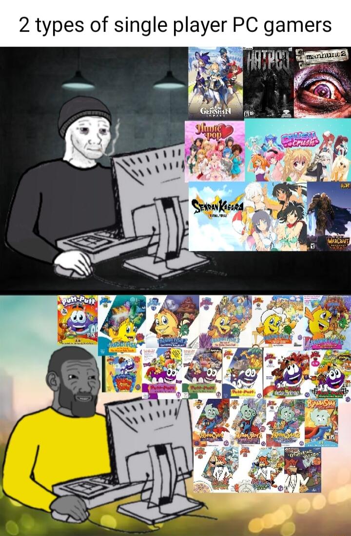 2 types of single player PC gamers e S