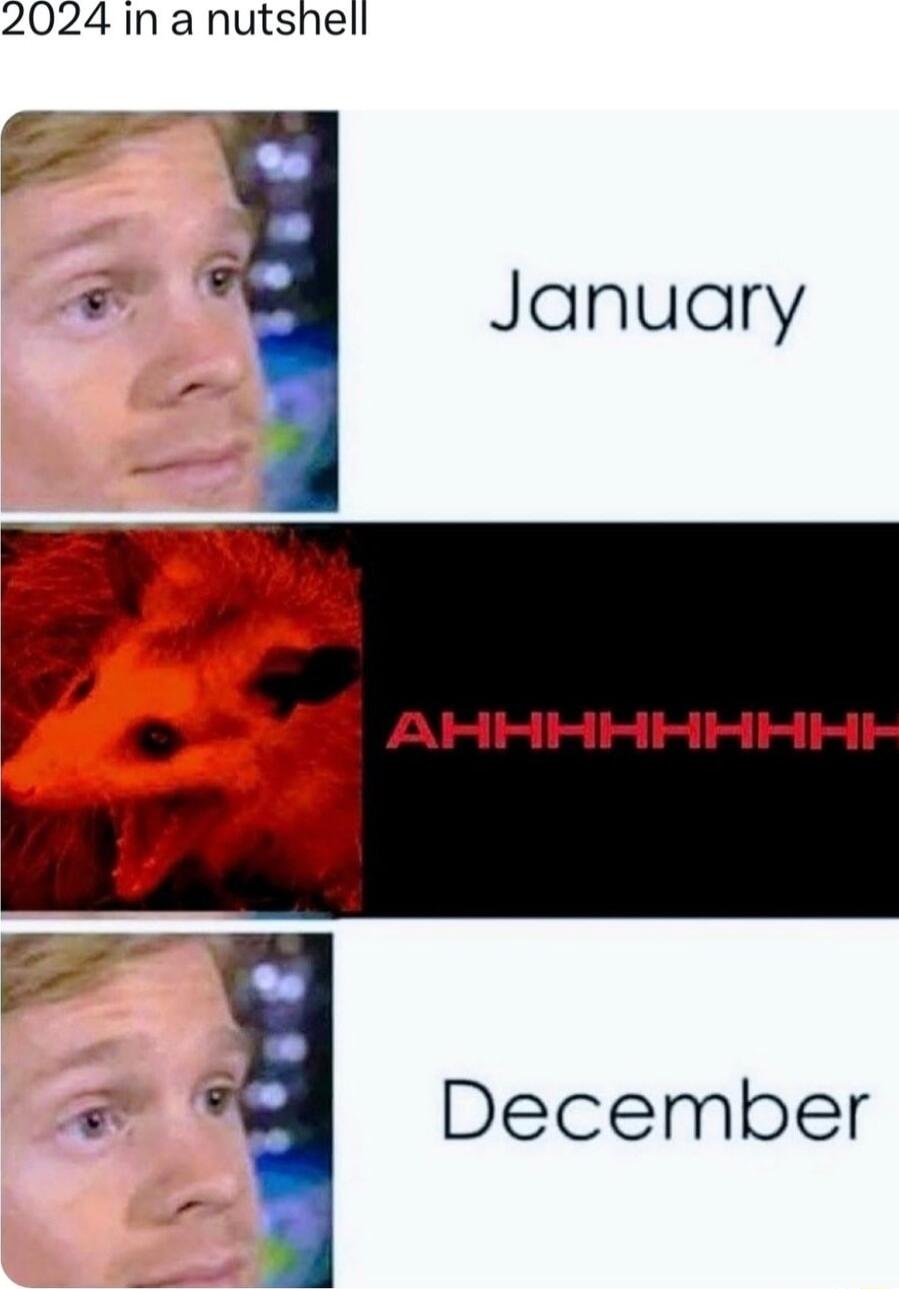 2024 In a nutshell g January December