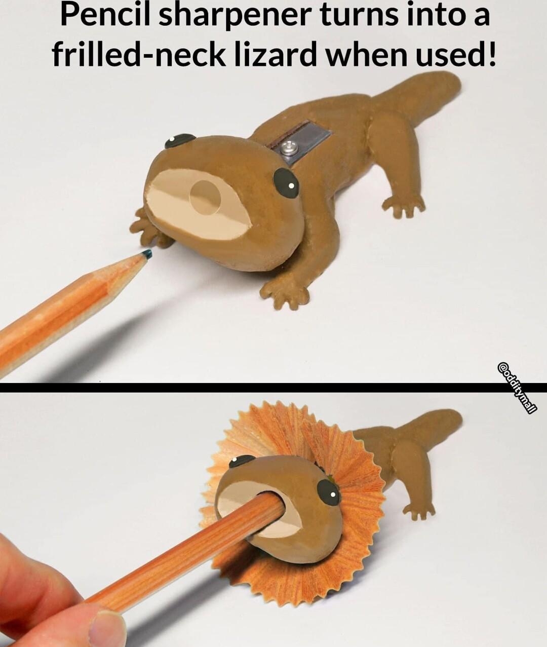 Pencil sharpener turns into a frilled neck lizard when used