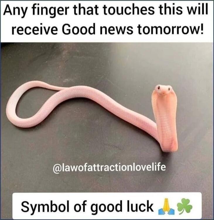 Any finger that touches this will receive Good news tomorrow! Symbol of good luck 🙏🍀 @lawofattractionlovelife