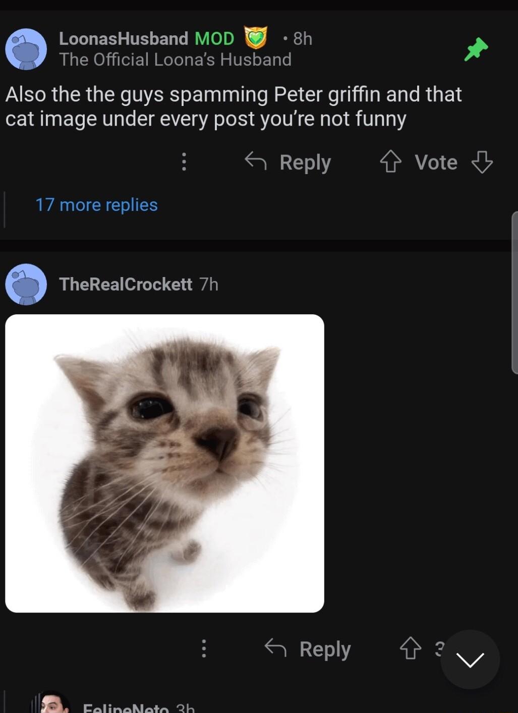 LoonasHusband MoD 8h The Official Loonas Husbanc AR GER QTR E VR C R NERRGEN cat image under every post youre not funny Reply Vote J 17 more replies TheRealCrockett 7h